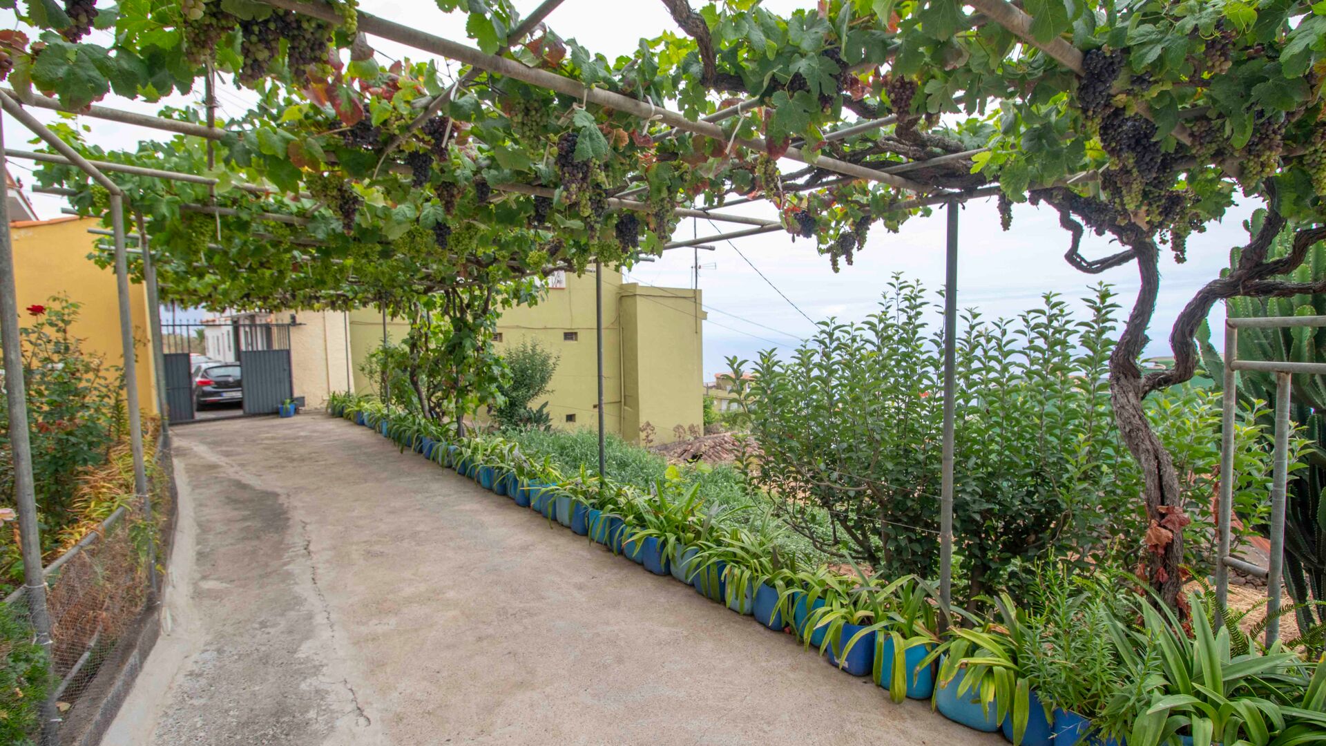 Venta de vivienda Santa Úrsula